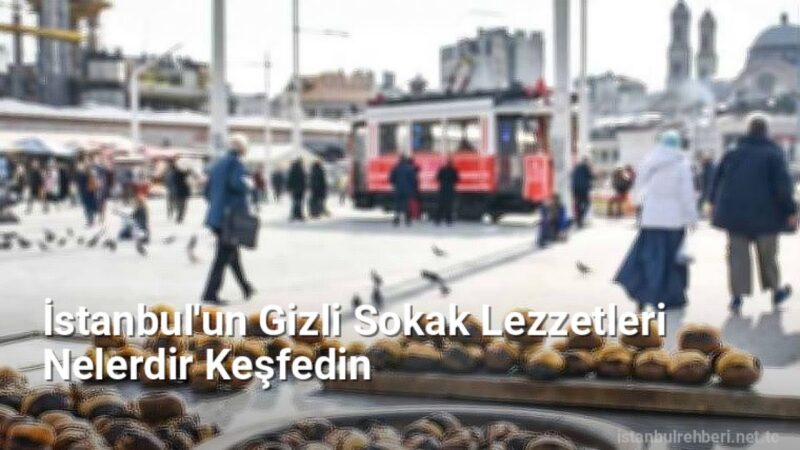 İstanbul'un Gizli Sokak Lezzetleri Nelerdir Keşfedin - istanbulrehberi.net.tc